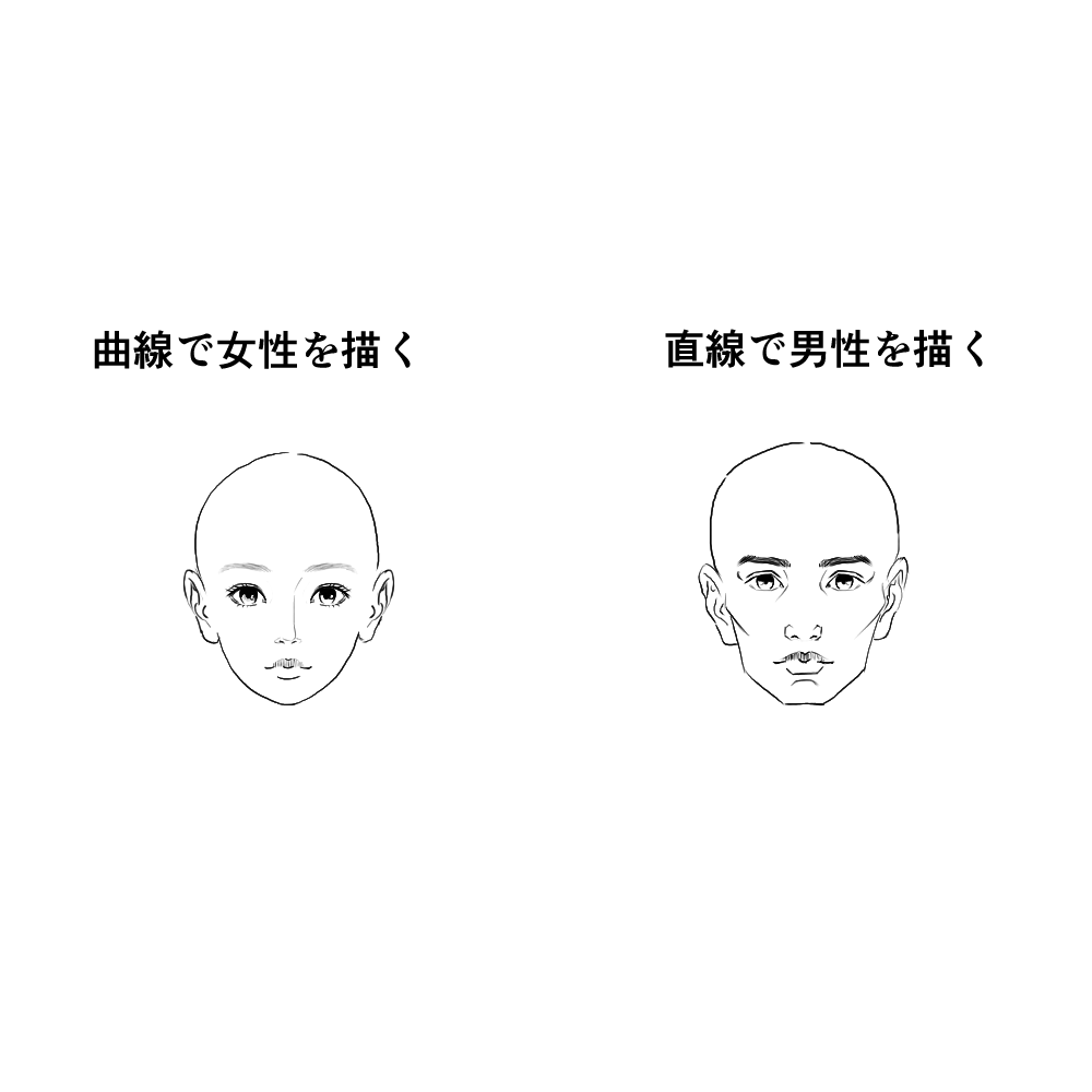 曲線の顔と直線の顔の違い